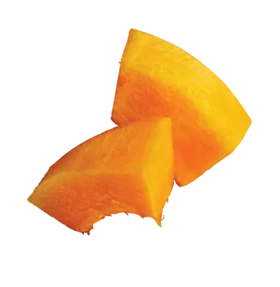 Piece of Pumpkin